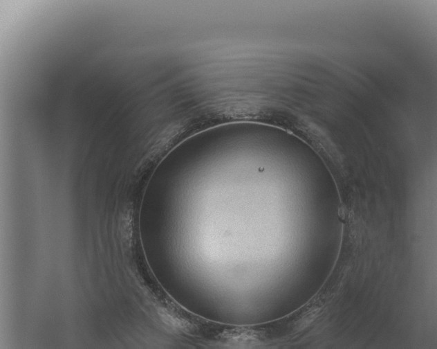 X0000060240113200511041307