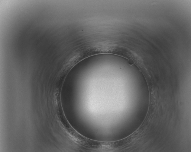 X0000060240114200511041307