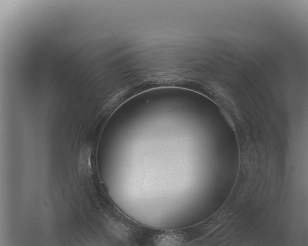 X0000060240115200511041307