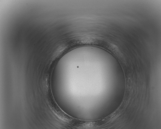 X0000060240116200511041307