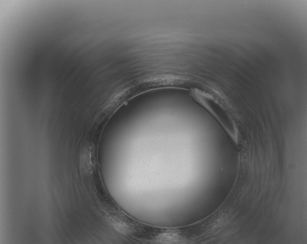 X0000060240119200511041307