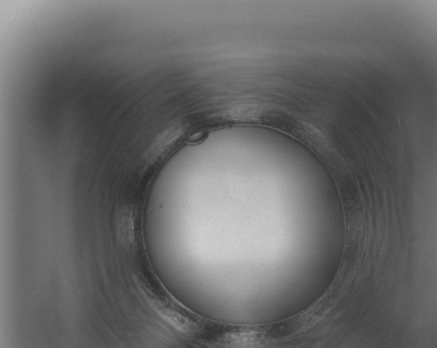 X0000060240120200511041307