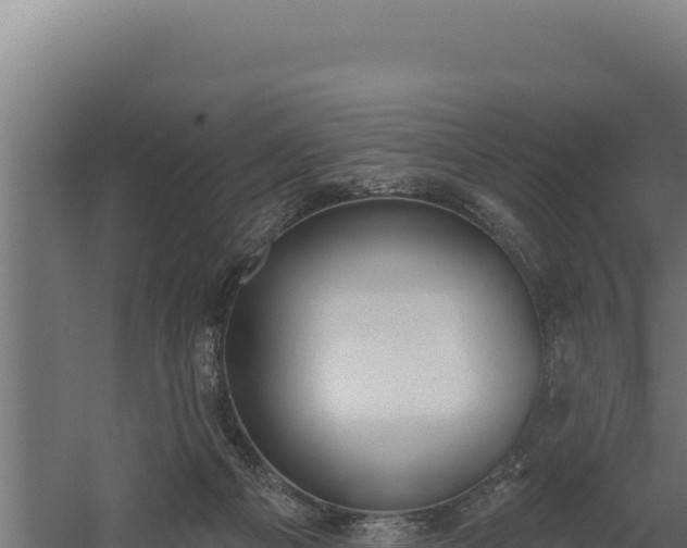 X0000060240121200511041307