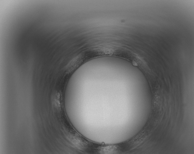 X0000060240122200511041307