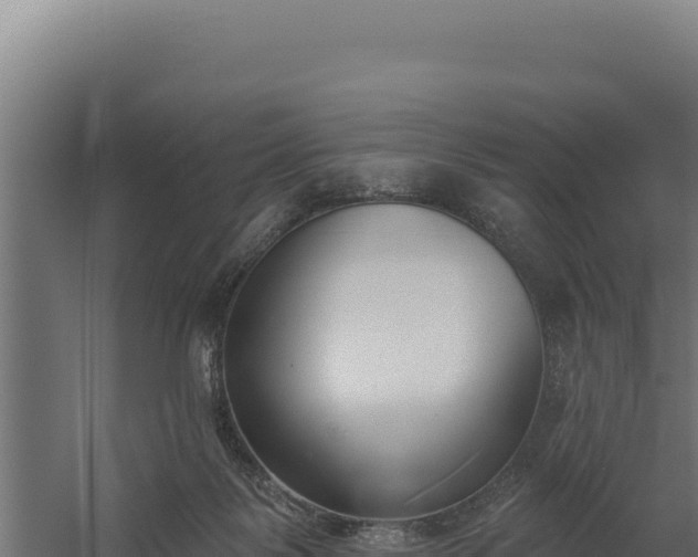 X0000060240123200511041307