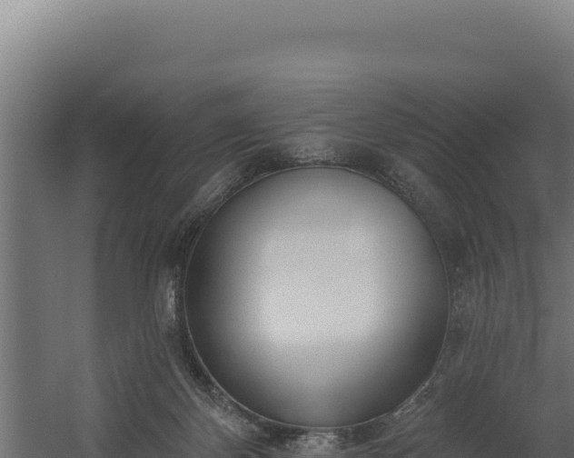 X0000060240124200511041307