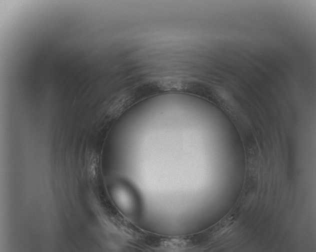 X0000060240125200511041307