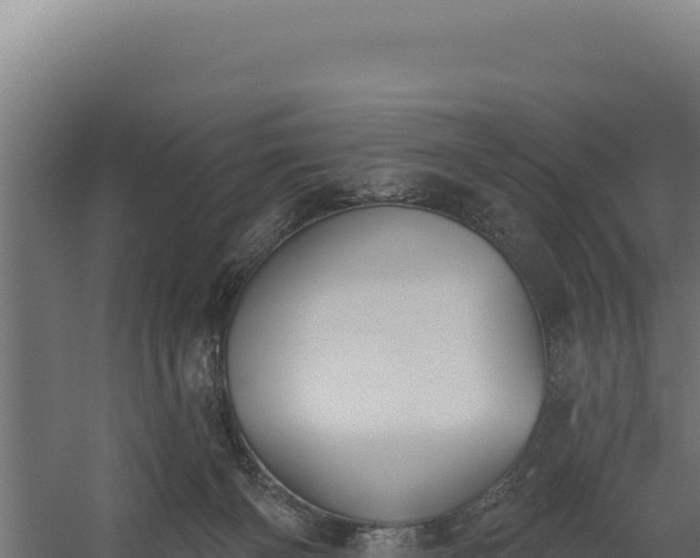 X0000060240126200511041307