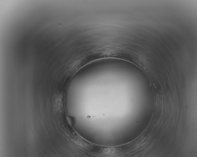 X0000060240127200511041307