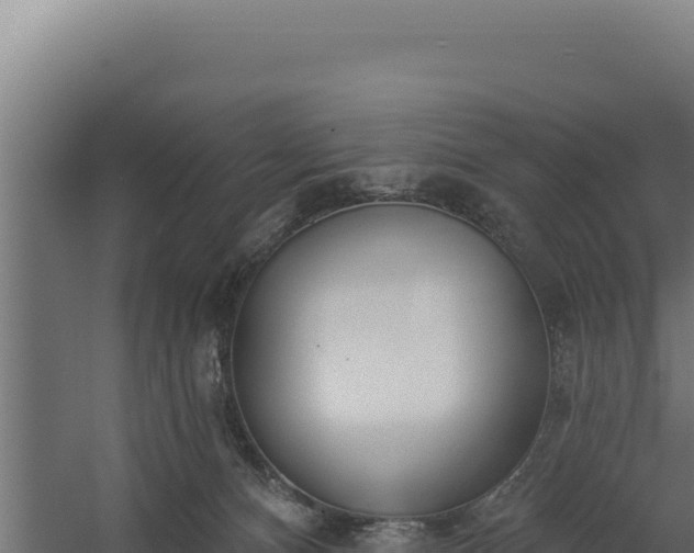 X0000060240128200511041307