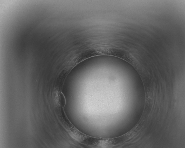 X0000060240130200511041307