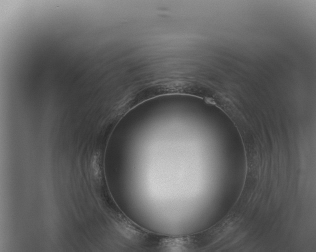 X0000060240131200511041307