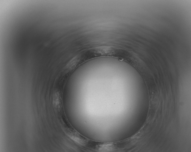 X0000060240132200511041307