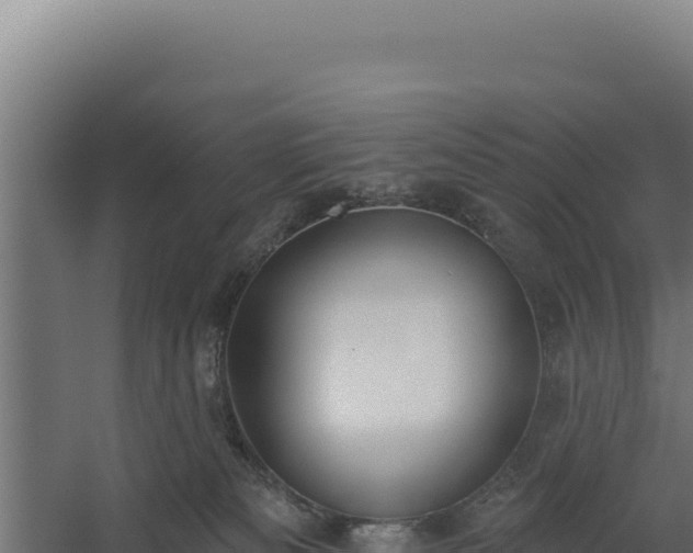 X0000060240133200511041307