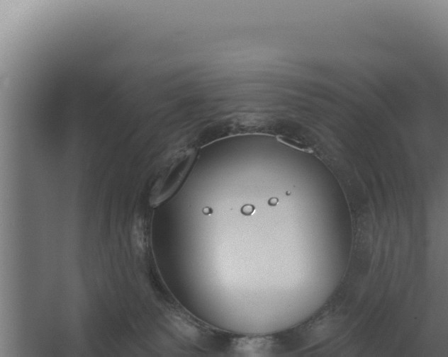 X0000060240135200511041307