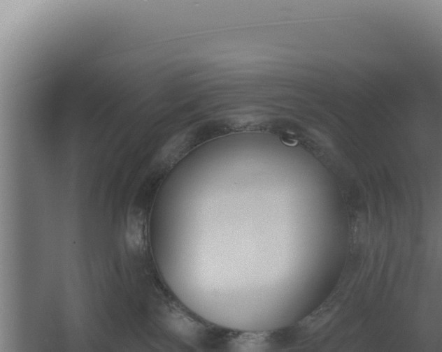 X0000060240138200511041307