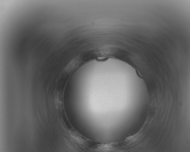 X0000060240140200511041307