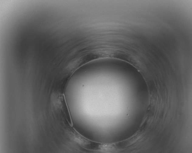 X0000060240141200511041307