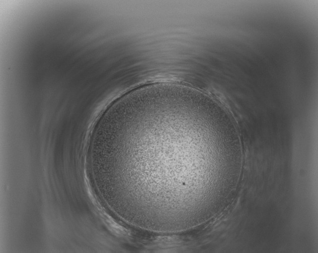 X0000060240145200511041306