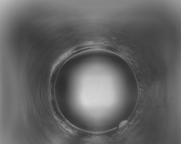 X0000060240149200511041306