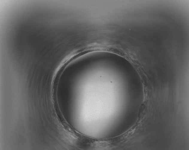 X0000060240150200511041306