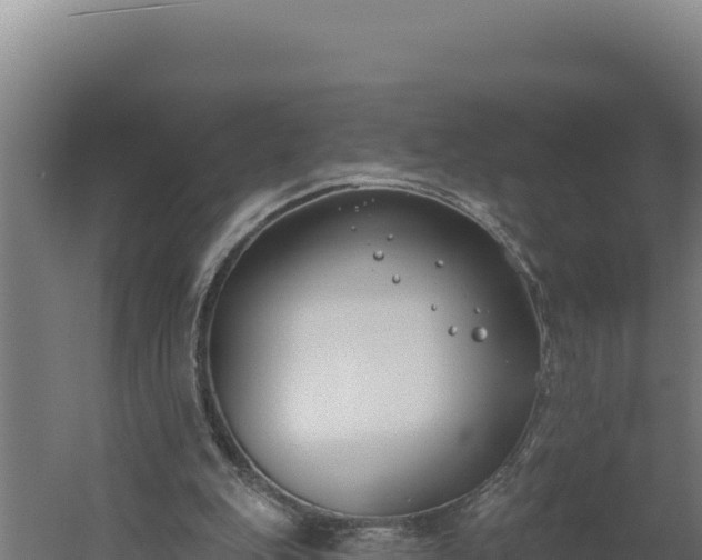 X0000060240151200511041306