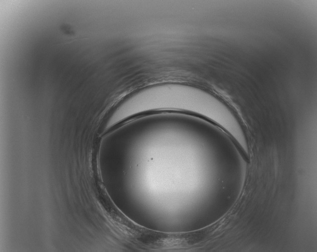 X0000060240154200511041306