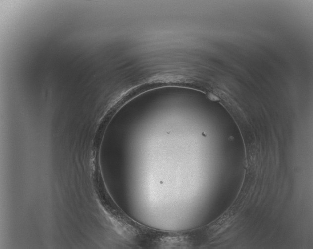 X0000060240160200511041306