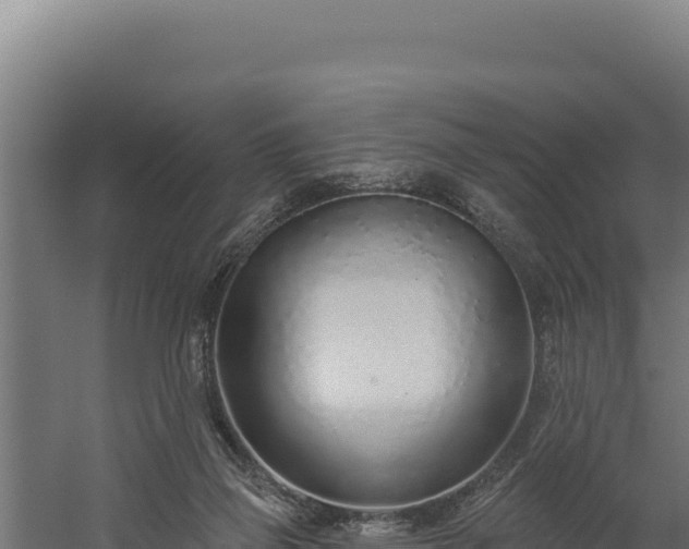 X0000060240165200511041306