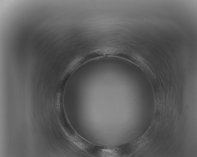 X0000060240167200511041306