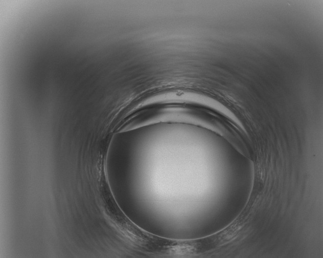 X0000060240168200511041306