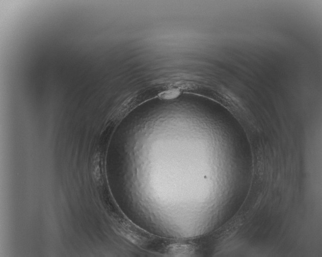 X0000060240169200511041306