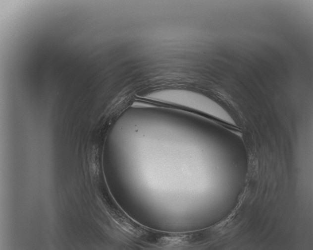 X0000060240170200511041306