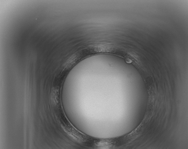 X0000060240171200511041306