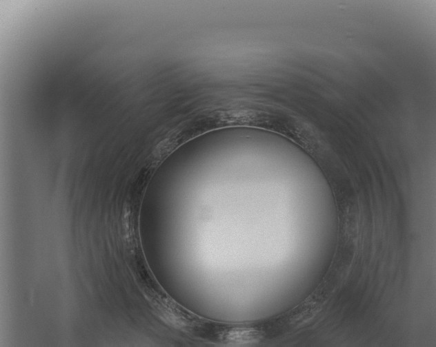 X0000060240173200511041306