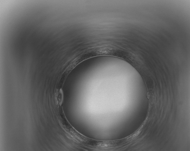 X0000060240174200511041306