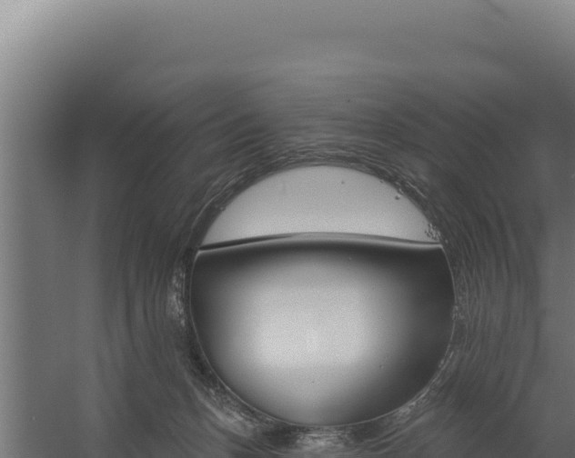 X0000060240175200511041306