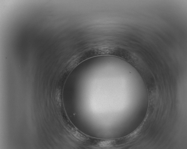 X0000060240178200511041306