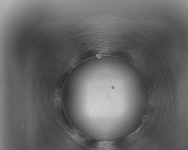 X0000060240179200511041306