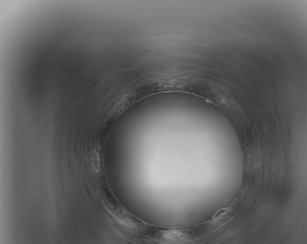 X0000060240183200511041306