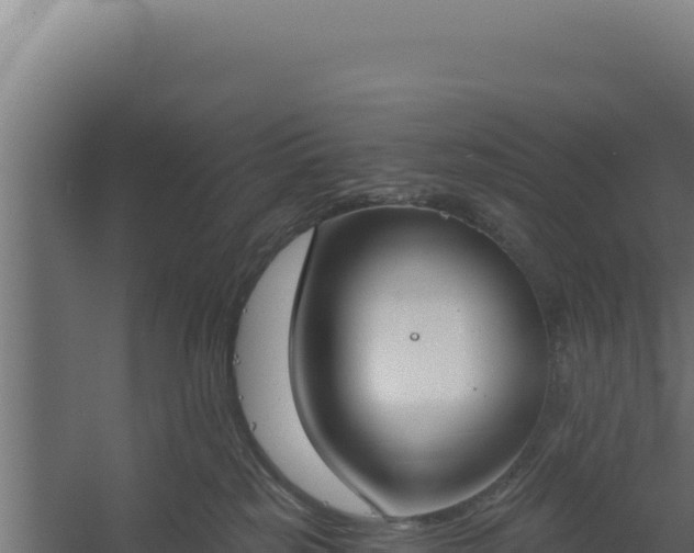 X0000060240185200511041306