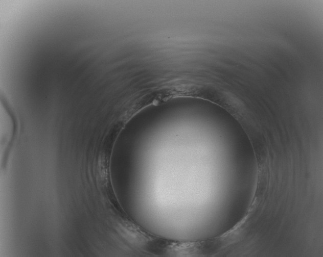 X0000060240186200511041306