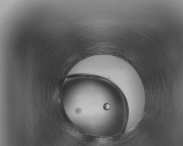 X0000060240187200511041306