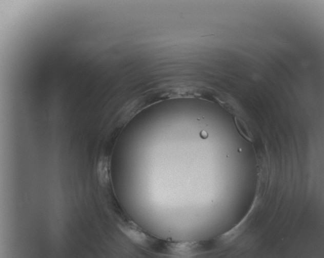 X0000060240191200511041307