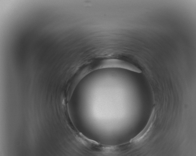 X0000060240192200511041307