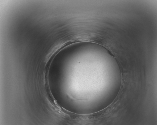 X0000060240194200511041306