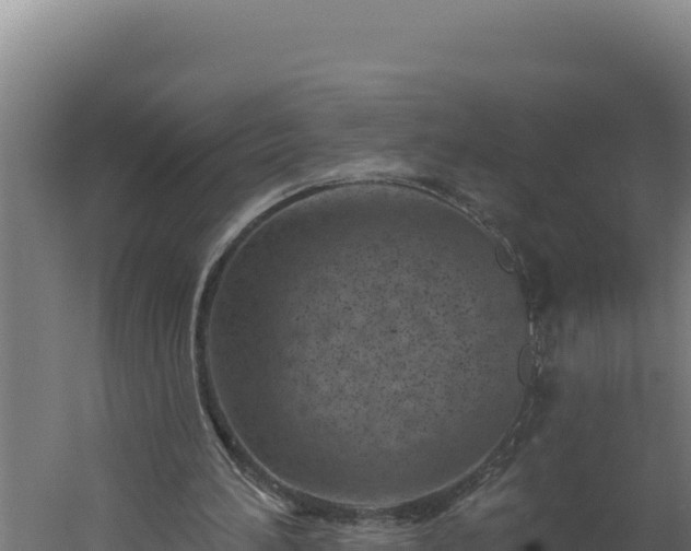 X0000060240196200511041306