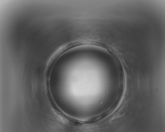 X0000060240197200511041306