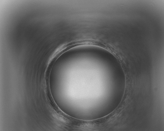 X0000060240198200511041306