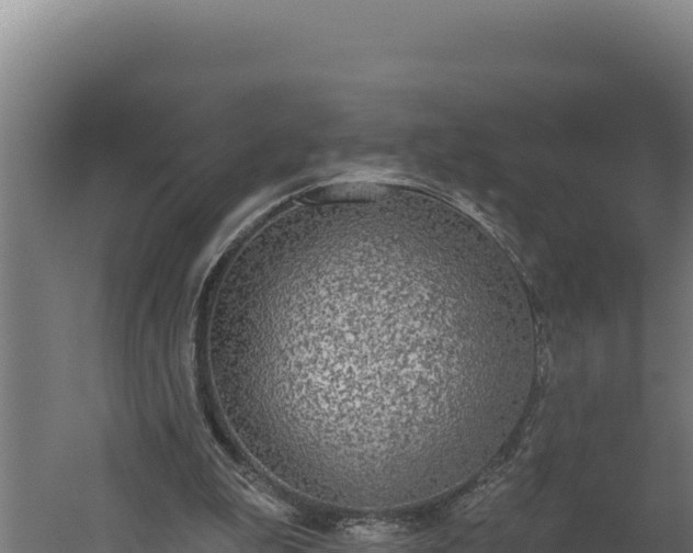 X0000060240199200511041306